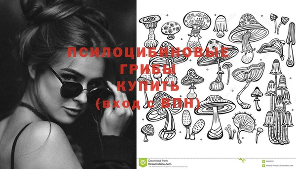 2c-b Алексин
