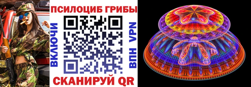 Галлюциногенные грибы Psilocybine cubensis Нурлат