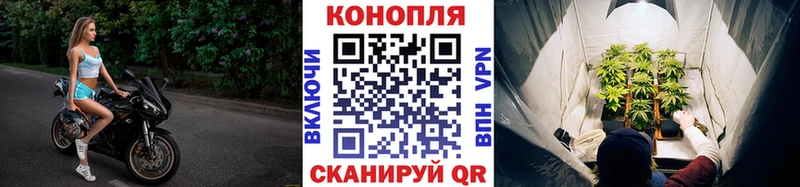Шишки марихуана планчик Нурлат